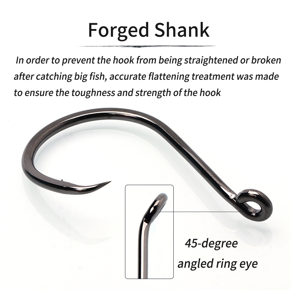 خطاف دائري ثقيل من النيكل الأس - مراجعة Fishing Hook Assortment وسعره