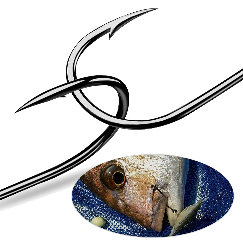 مجموعة 500 قطعة من خطافات الصي - مراجعة Fishing Hook Circle وسعره
