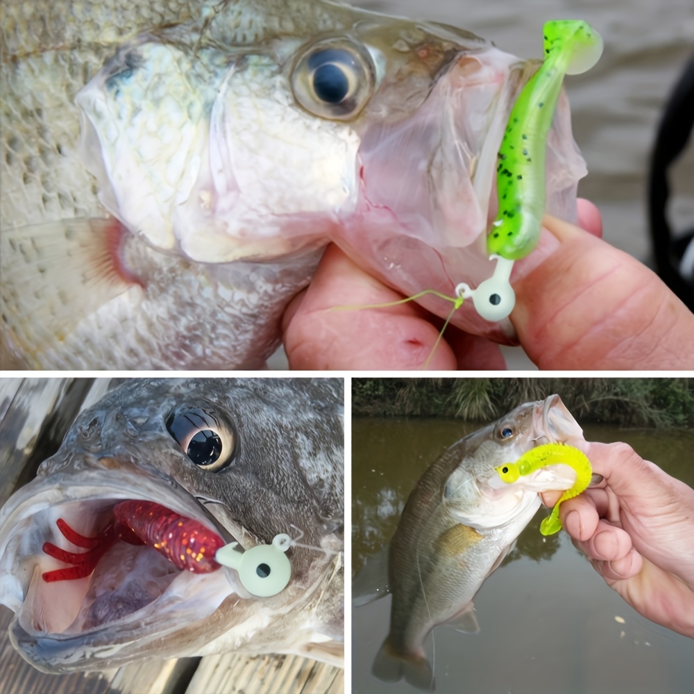 مجموعة طُعم صيد السمك 40 قطعة/ - مراجعة Fishing Hook Jig وسعره